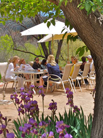 dining-terrace