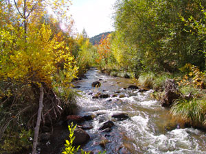 08-creek-east