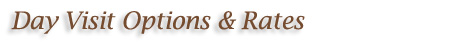 Day Visitor Options and Rates