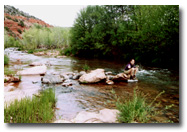 Oak Creek