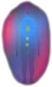 aura image