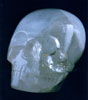 Max Skull