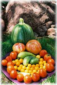 Seeds and Rows