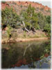 Creek Dip
