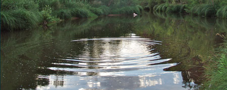 creek 1