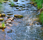 creek 2